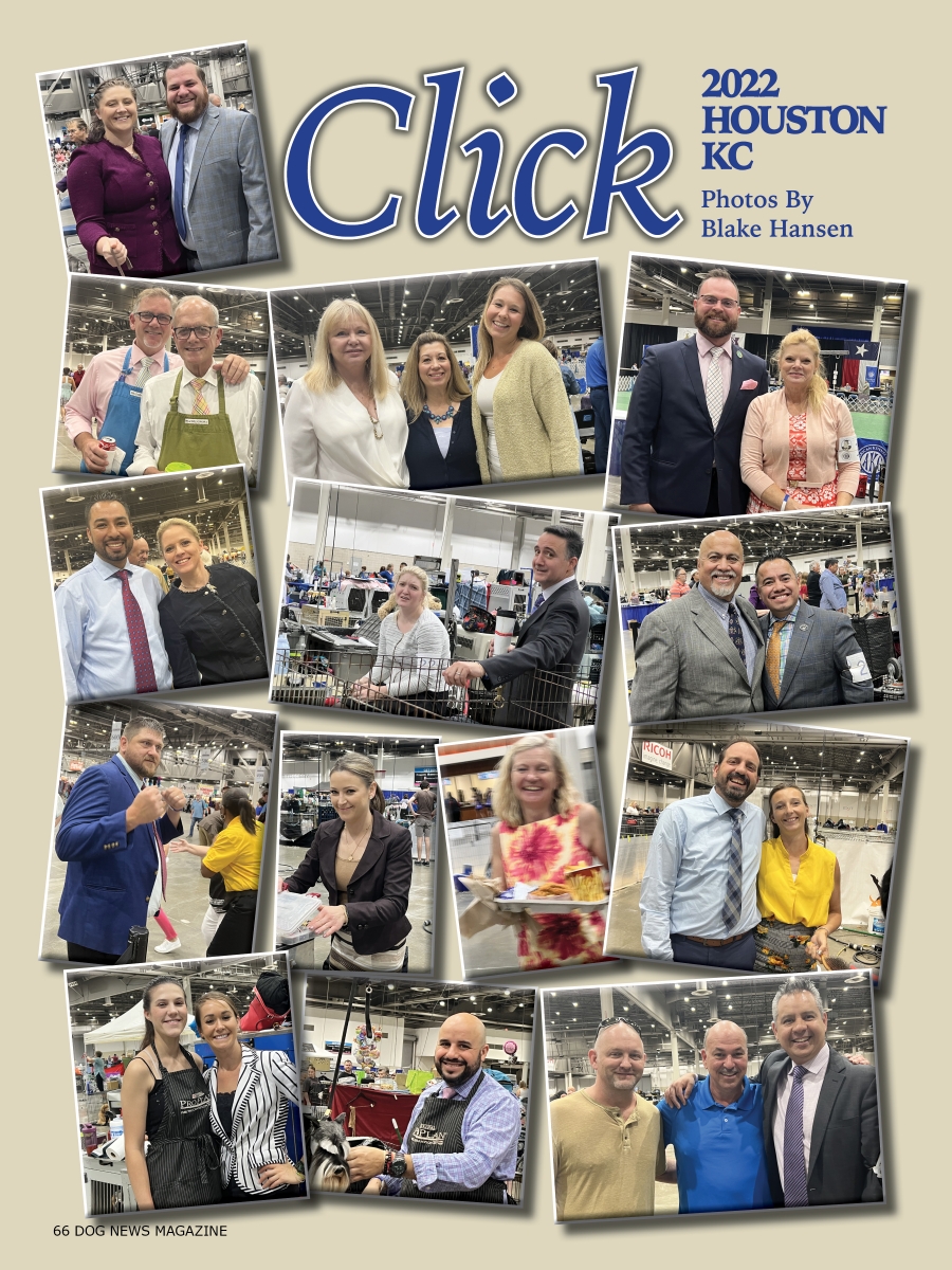 2022 Houston Kennel Club Dog News